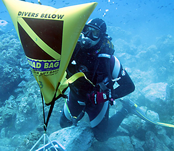 Subsalve quad bag divers
