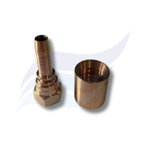 FPBSF/M/06-06JIC